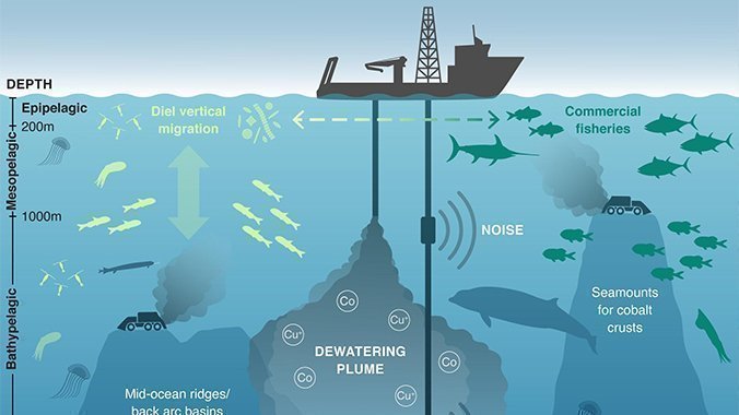 Deep best sale sea ecosystem