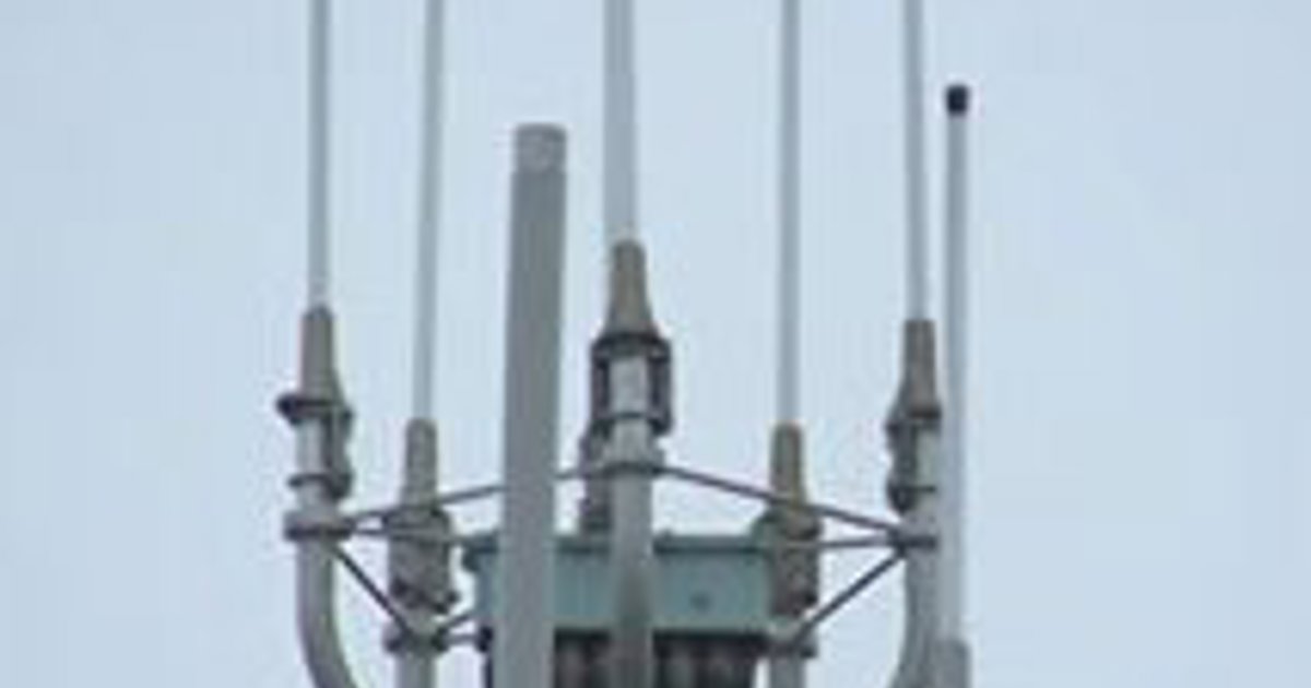 Study To Examine Tetra Mast Risk